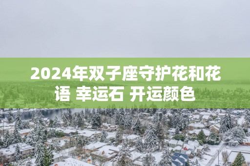 2025年双子座守护花和花语 幸运石 开运颜色