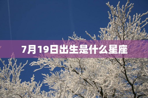 7月19日出生是什么星座