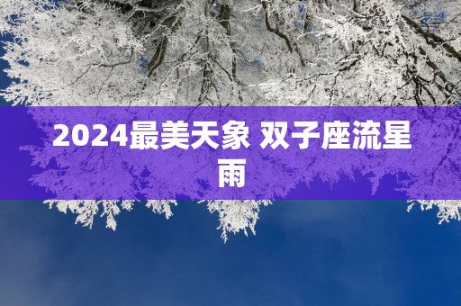 2025最美天象 双子座流星雨