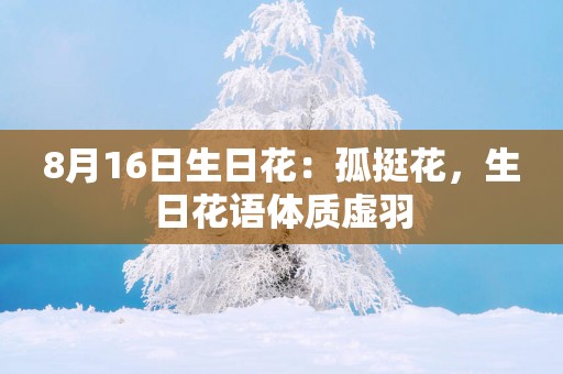 8月16日生日花：孤挺花，生日花语体质虚羽