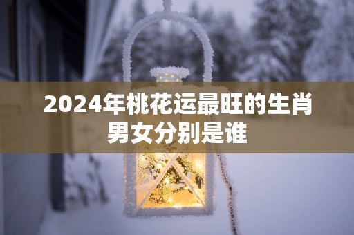 2025年桃花运最旺的生肖男女分别是谁