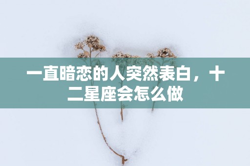一直暗恋的人突然表白，十二星座会怎么做