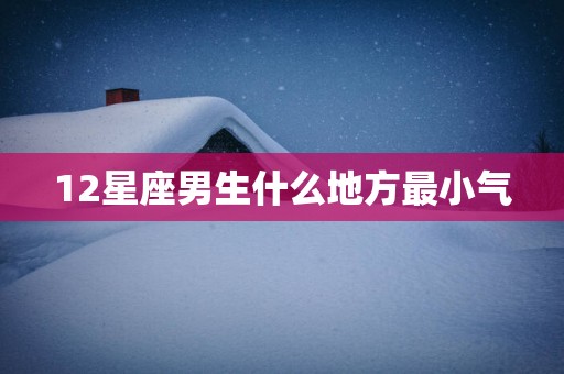 12星座男生什么地方最小气