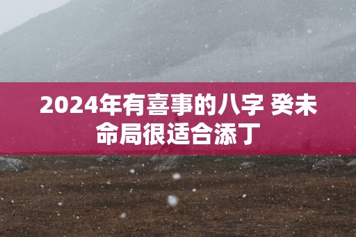 2025年有喜事的八字 癸未命局很适合添丁