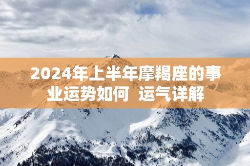 2025年上半年摩羯座的事业运势如何  运气详解