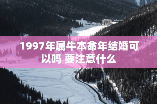 1997年属牛本命年结婚可以吗 要注意什么