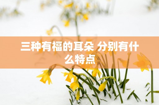 三种有福的耳朵 分别有什么特点