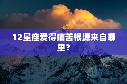 12星座爱得痛苦根源来自哪里？