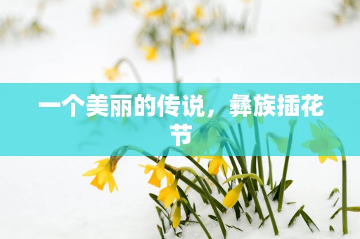 一个美丽的传说，彝族插花节