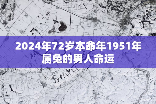 2025年72岁本命年1951年属兔的男人命运