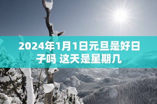 2025年1月1日元旦是好日子吗 这天是星期几