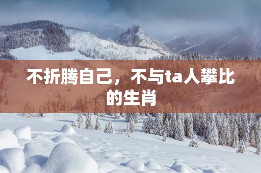 不折腾自己，不与ta人攀比的生肖