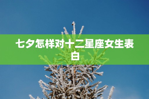 七夕怎样对十二星座女生表白