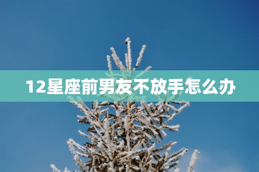 12星座前男友不放手怎么办