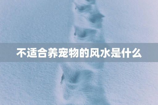 不适合养宠物的风水是什么