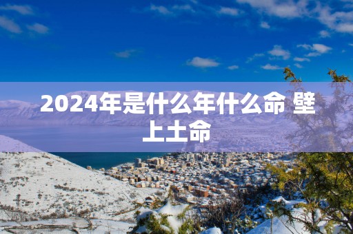 2025年是什么年什么命 壁上土命
