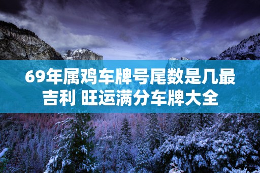 69年属鸡车牌号尾数是几最吉利 旺运满分车牌大全