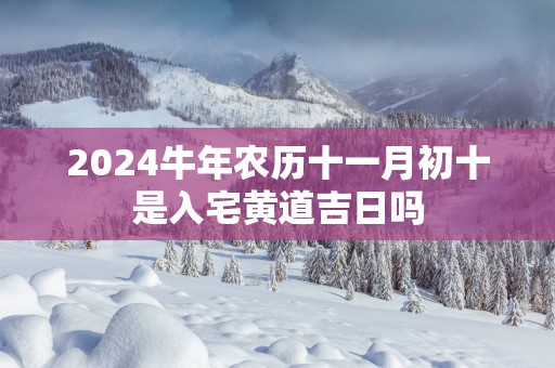 2025蛇年农历十一月初十是入宅黄道吉日吗