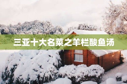 三亚十大名菜之羊栏酸鱼汤