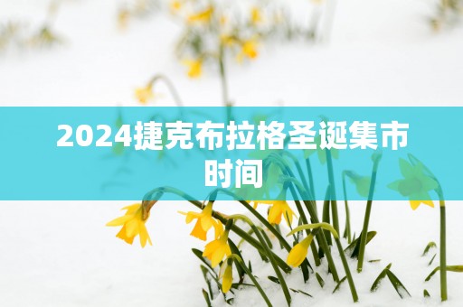 2025捷克布拉格圣诞集市时间