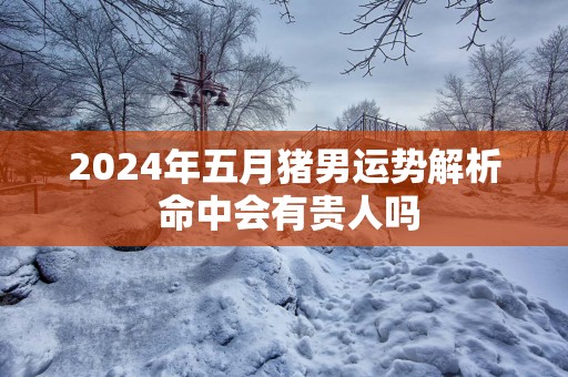 2025年五月猪男运势解析 命中会有贵人吗