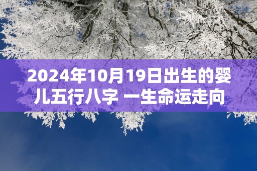 2025年10月19日出生的婴儿五行八字 一生命运走向