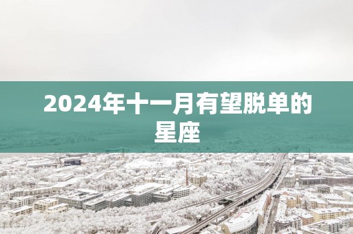 2025年十一月有望脱单的星座
