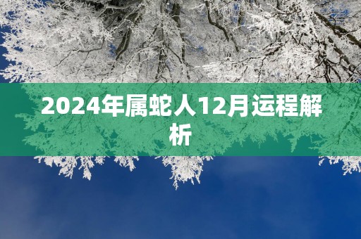 2025年属蛇人12月运程解析