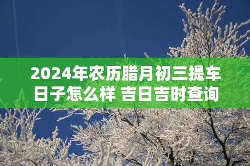 2025年农历腊月初三提车日子怎么样 吉日吉时查询