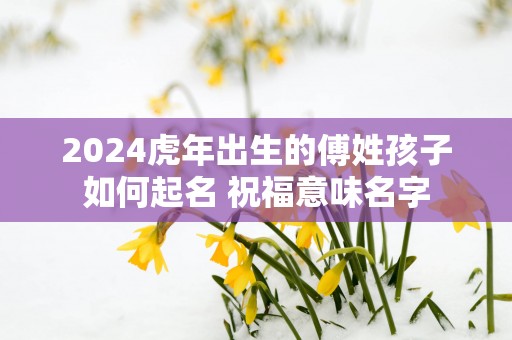 2025蛇年出生的傅姓孩子如何起名 祝福意味名字