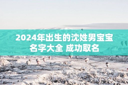 2025年出生的沈姓男宝宝名字大全 成功取名