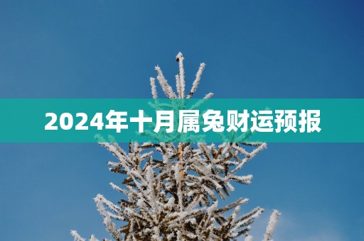 2025年十月属兔财运预报