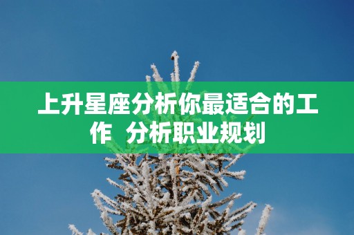 上升星座分析你最适合的工作  分析职业规划