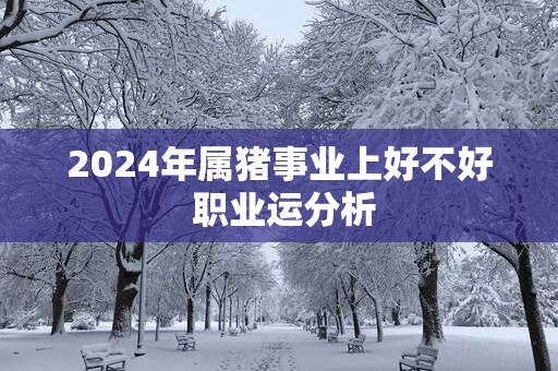 2025年属猪事业上好不好 职业运分析