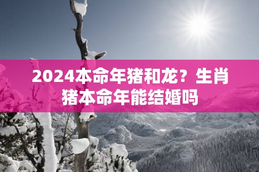 2025本命年猪和龙？生肖猪本命年能结婚吗