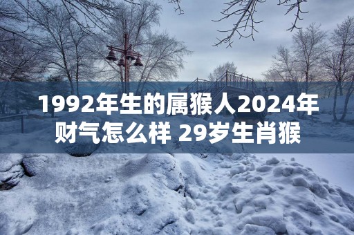1992年生的属猴人2025年财气怎么样 29岁生肖猴