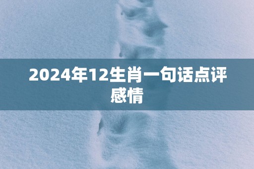 2025年12生肖一句话点评感情