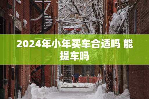 2025年小年买车合适吗 能提车吗
