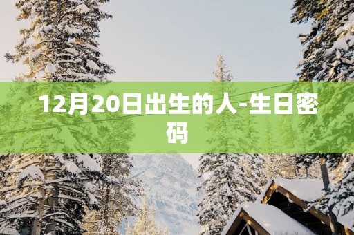 12月20日出生的人-生日密码