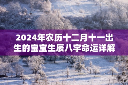 2025年农历十二月十一出生的宝宝生辰八字命运详解