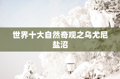 世界十大自然奇观之乌尤尼盐沼