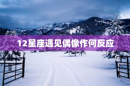 12星座遇见偶像作何反应