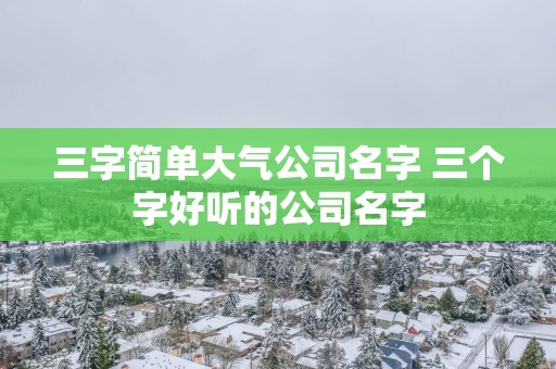 三字简单大气公司名字 三个字好听的公司名字