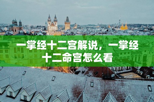 一掌经十二宫解说，一掌经十二命宫怎么看