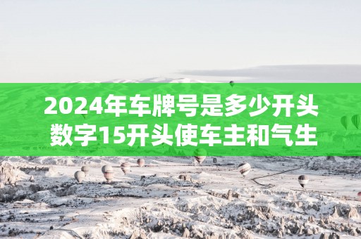 2025年车牌号是多少开头 数字15开头使车主和气生财