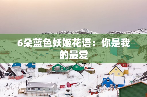 6朵蓝色妖姬花语：你是我的最爱