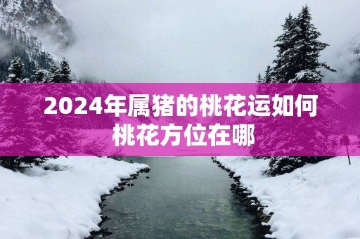 2025年属猪的桃花运如何 桃花方位在哪