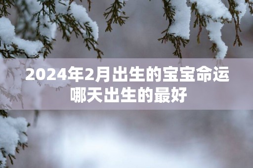 2025年2月出生的宝宝命运 哪天出生的最好