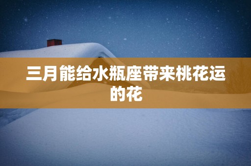 三月能给水瓶座带来桃花运的花