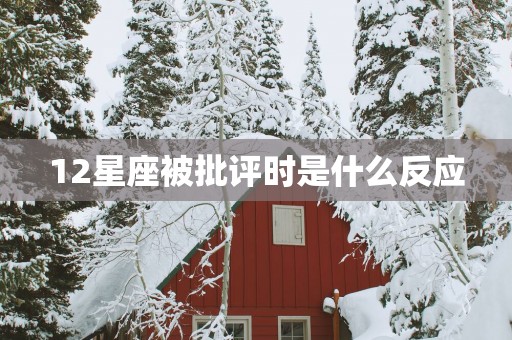 12星座被批评时是什么反应